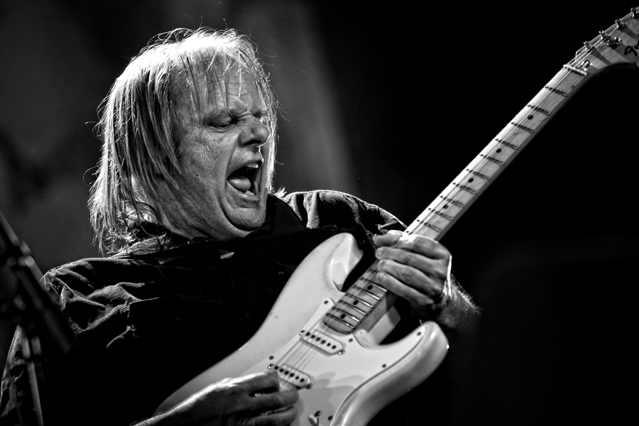 Interview Walter Trout English Version LiveStreamMagazine